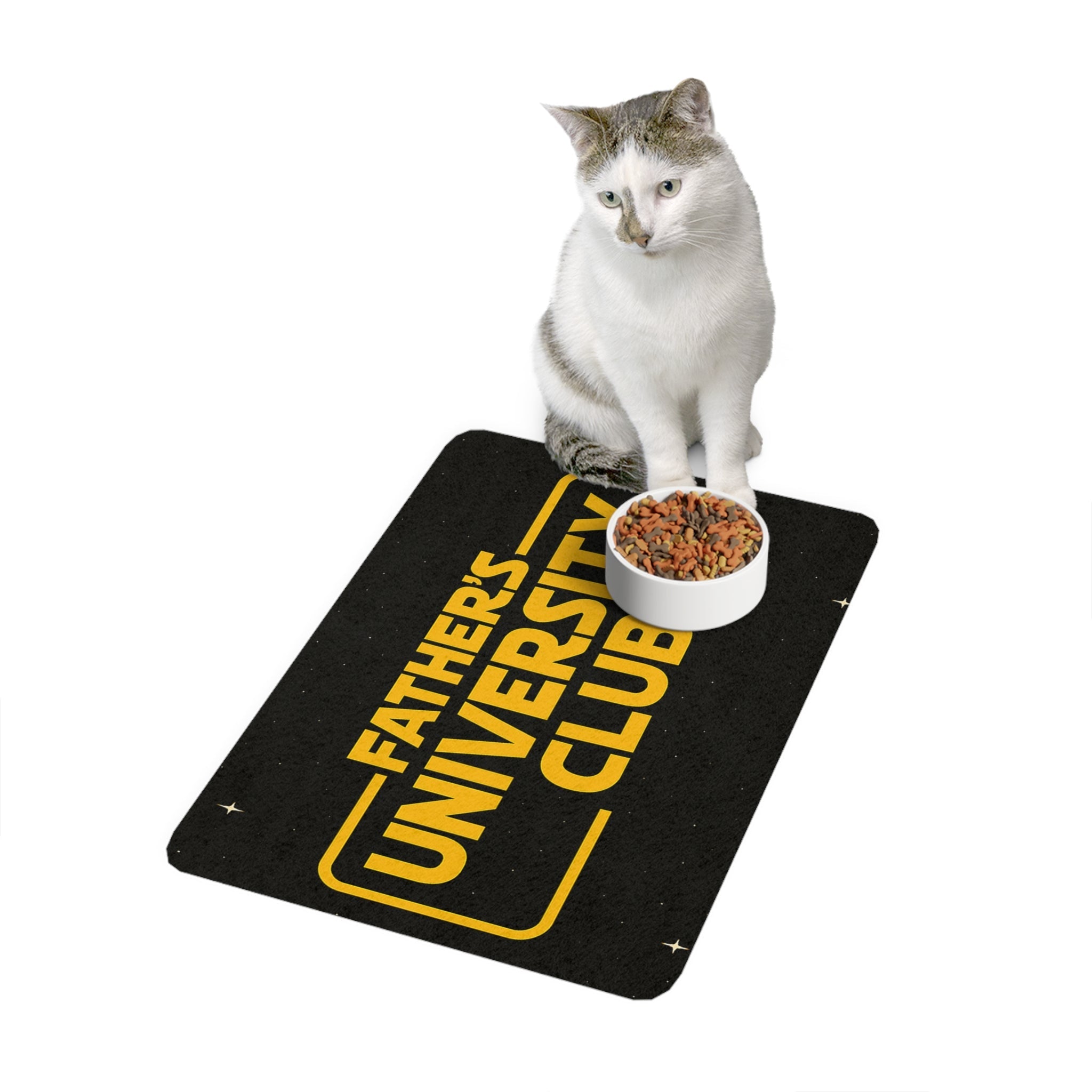 FatherUniversityClub