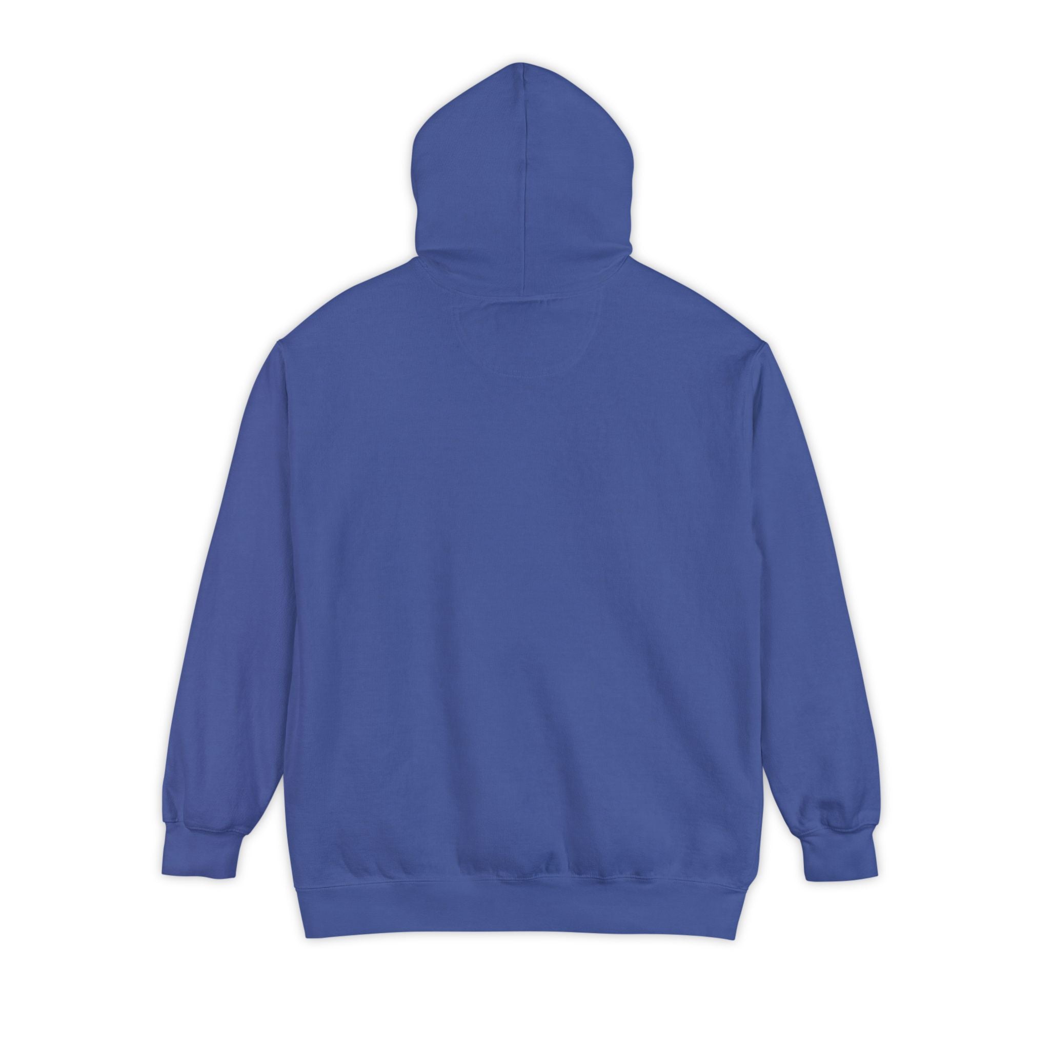 Unseen Caregiver Hoodie | Support for Invisible Caregivers | Day1father Garment-Dyed Comfort Sweatshirt