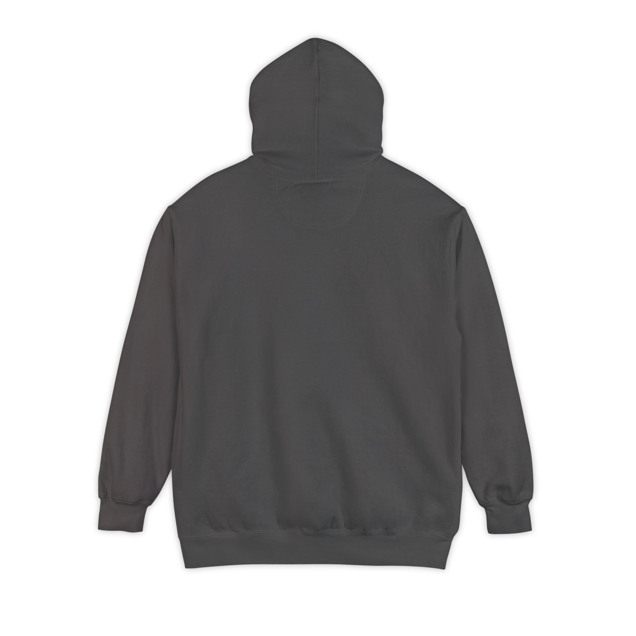 Unseen Caregiver Hoodie | Support for Invisible Caregivers | Day1father Garment-Dyed Comfort Sweatshirt