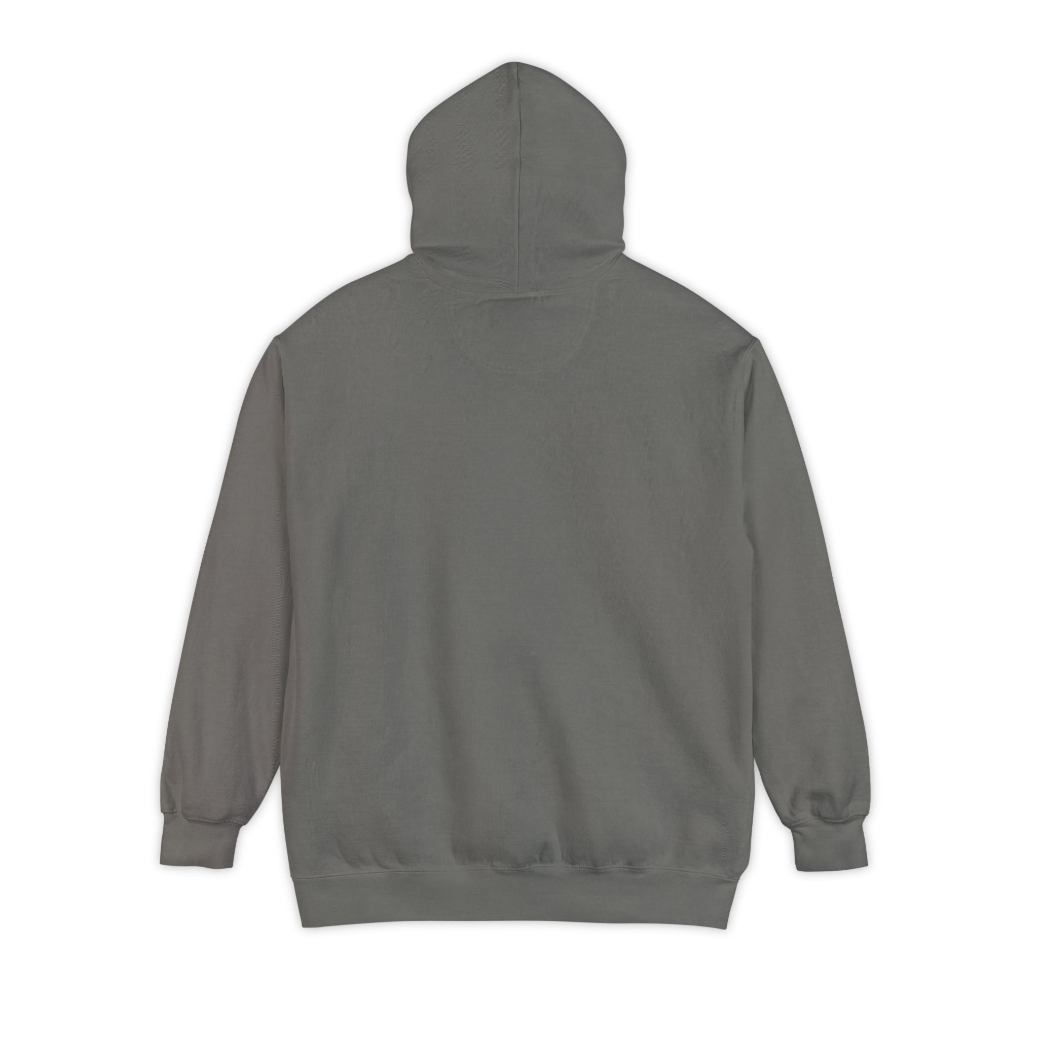 Unseen Caregiver Hoodie | Support for Invisible Caregivers | Day1father Garment-Dyed Comfort Sweatshirt